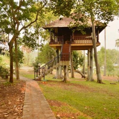 Isola Di Cocco Ayurvedic Beach Resort Poovar Buitenkant foto