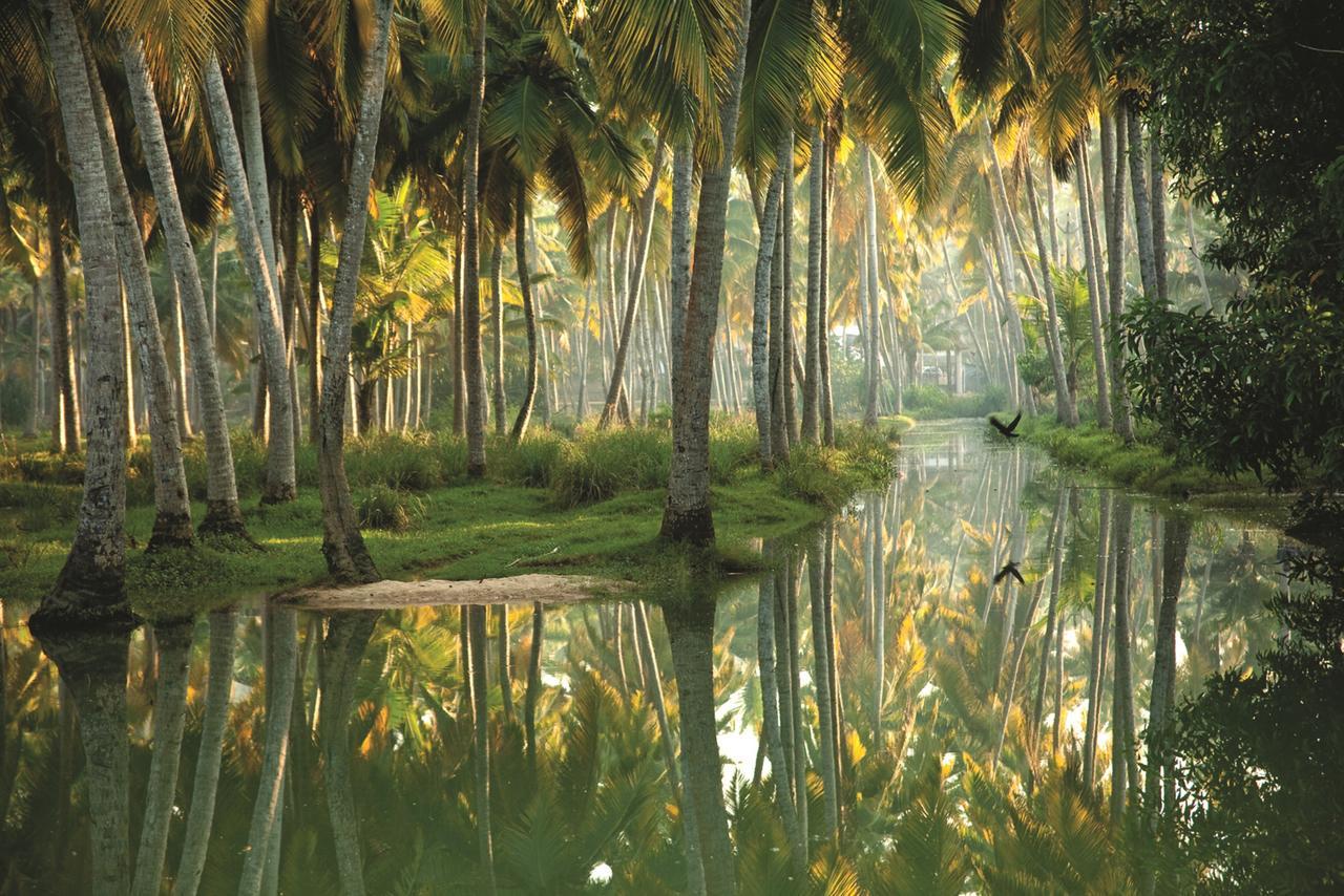 Isola Di Cocco Ayurvedic Beach Resort Poovar Buitenkant foto