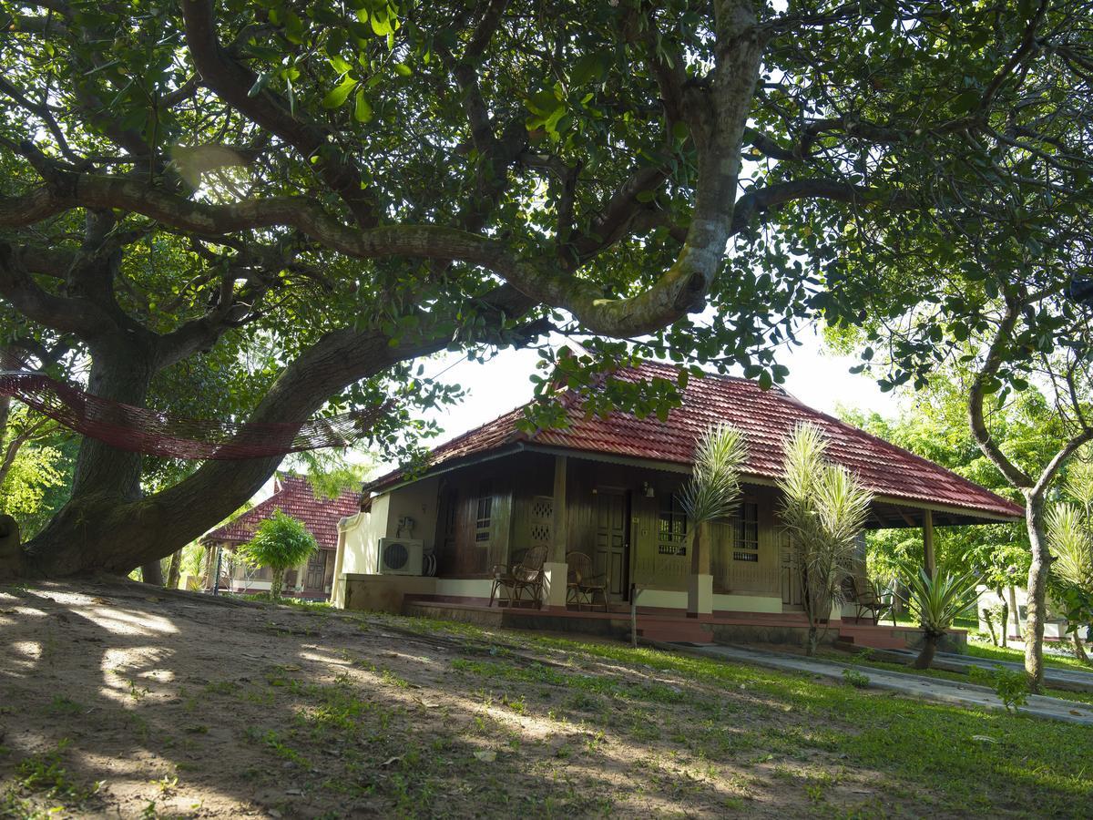 Isola Di Cocco Ayurvedic Beach Resort Poovar Buitenkant foto